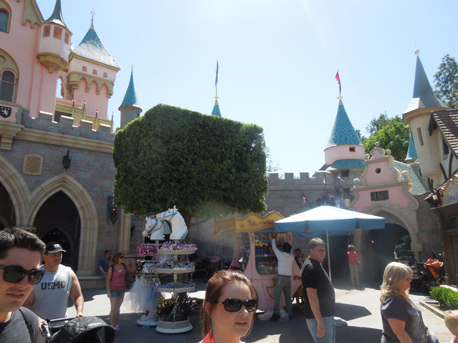Disneyland Fantasyland Castle Picture